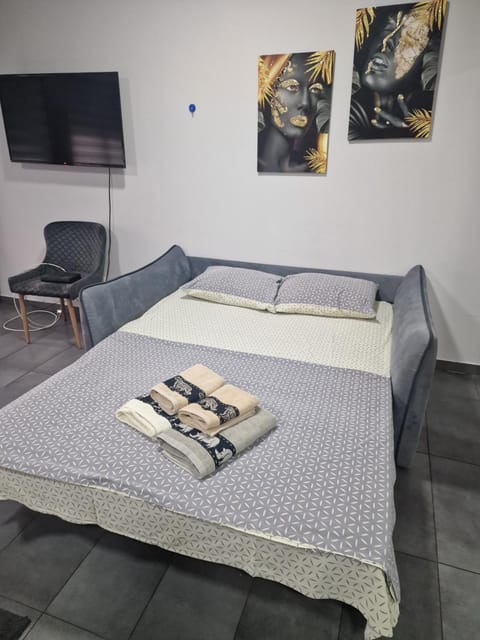 Silver city studio Apartment in Serbia