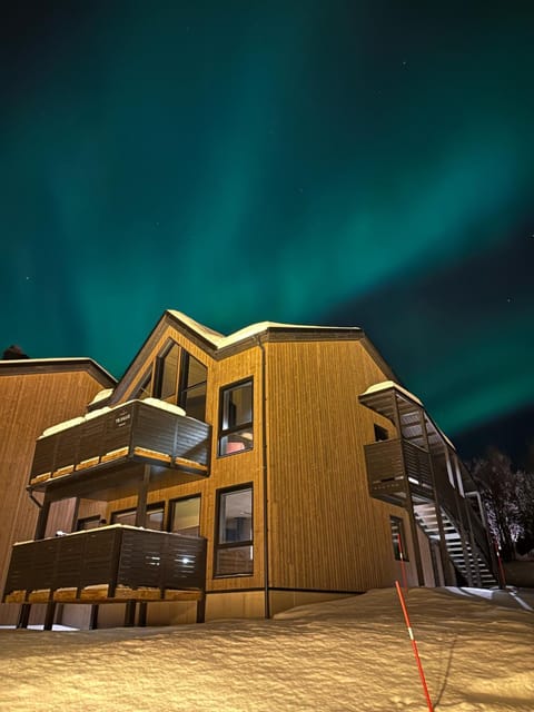 Property building, Night, Natural landscape