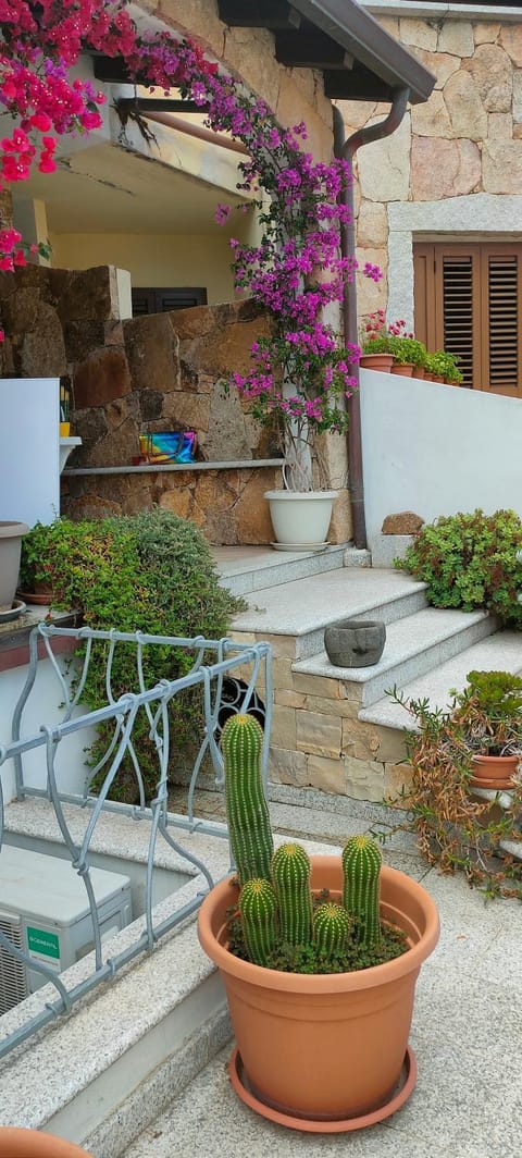 Villa Alberto Apartment in Olbia