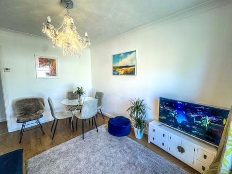 Central Cambridge Fig Tree house Apartment in Cambridge