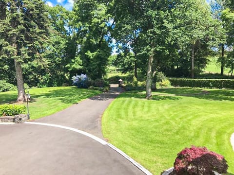 Spring, Day, Neighbourhood, Natural landscape, Garden, Garden view