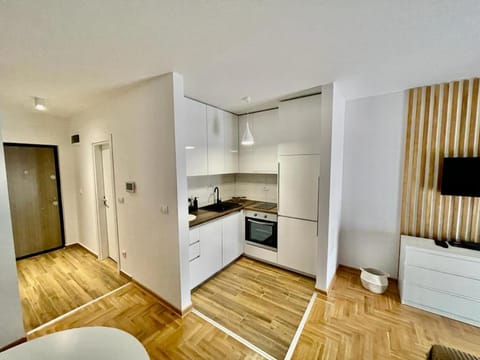 LL65 Apartmens Airport Nikola Tesla Apartment in Belgrade