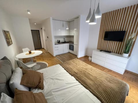 Bed, TV and multimedia, Kitchen or kitchenette, Living room, Seating area, Bedroom