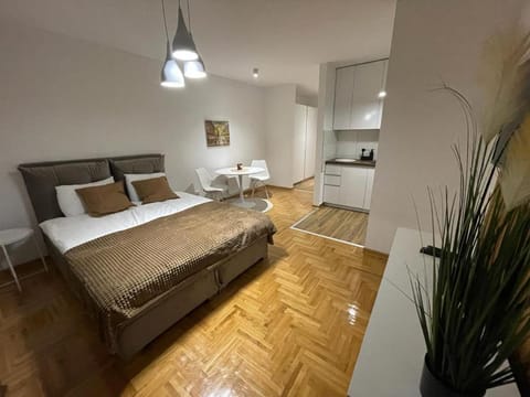LL65 Apartmens Airport Nikola Tesla Apartment in Belgrade