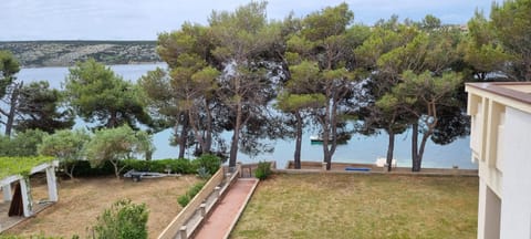 Day, Garden, Sea view