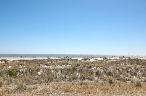 Natural landscape, Beach