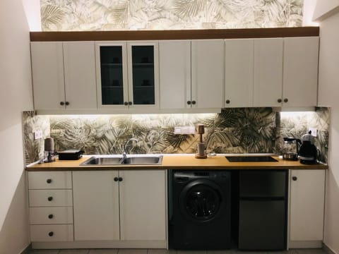 Kitchen or kitchenette, washing machine