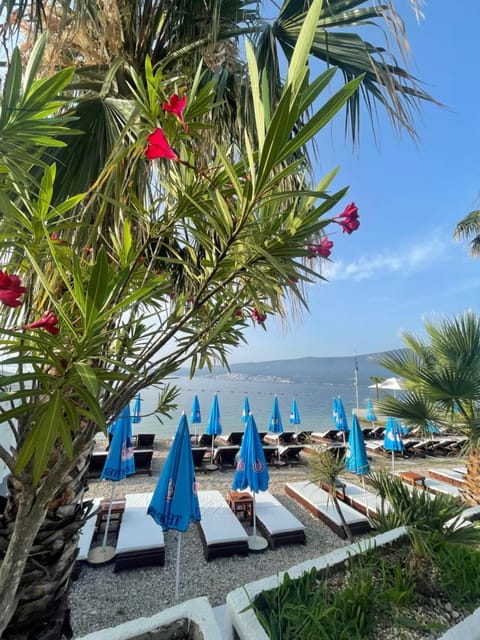 Natural landscape, Beach, Sea view