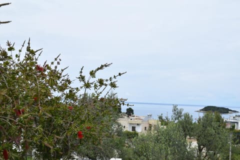 Sunset Cottage 1 Apartment in Ksamil