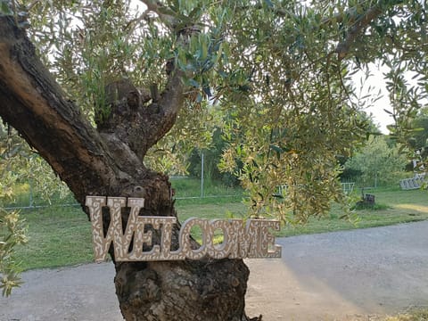 THE SECRET OLIVE HOUSE House in Decentralized Administration of Macedonia and Thrace