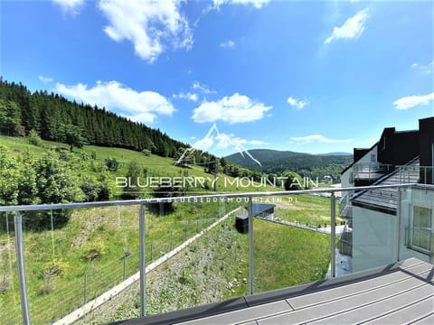 Nearby landmark, Spring, Natural landscape, Balcony/Terrace, Mountain view