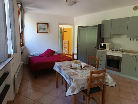 Photo of the whole room, minibar, pet friendly