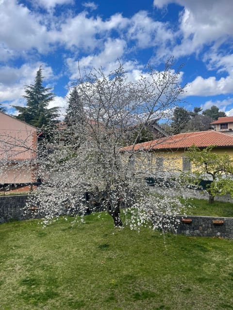 Garden, Garden view