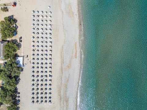 Day, Natural landscape, Bird's eye view, Beach, Sea view, sunbed