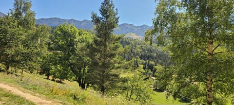 Natural landscape, Mountain view