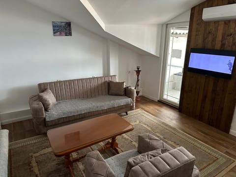 TV and multimedia, Living room, Seating area, air conditioner, air conditioner