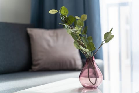 Kamienica Centrum Apartament nr 15 Apartment in Szczecin