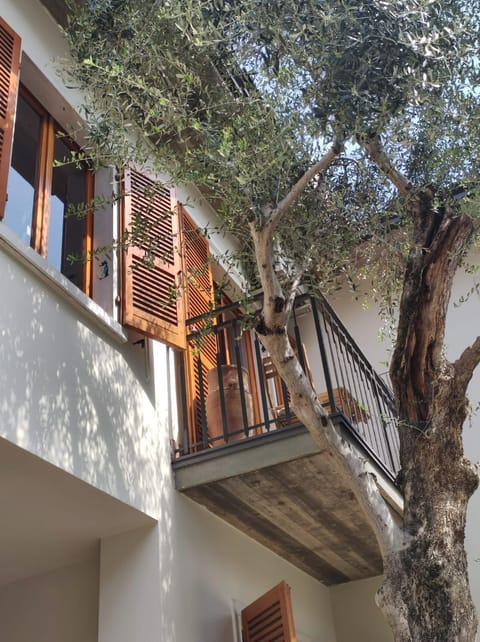 Casa degli ulivi Apartment in Torri del Benaco