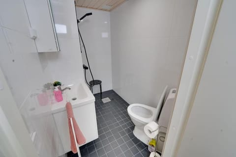 Best location in Tampere! Modern city apartment, 2rooms, kitchen and balcony Apartment in Finland