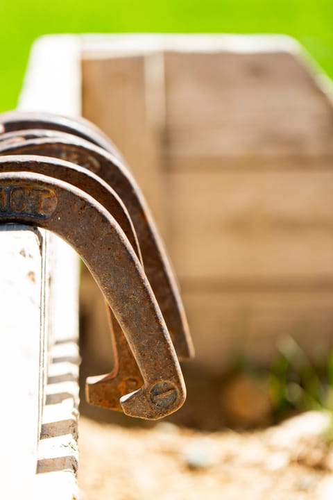 JW Grand Junction Campground/ 
RV Resort in Grand Junction