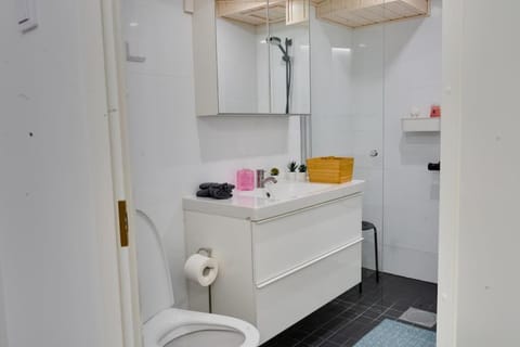 3h,k,p - Keskellä Tamperetta kaunis parvekkeellinen uusittu kolmio Apartment in Finland