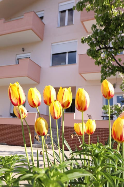 Property building, Spring, Day, Garden, Garden view