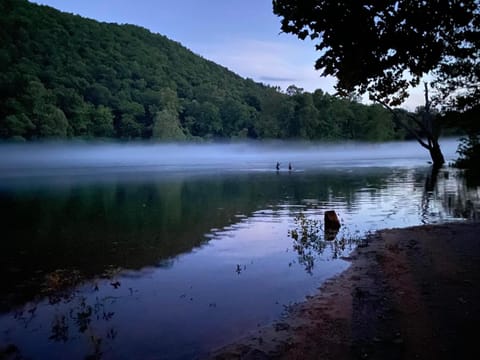 Natural landscape, Fishing, Lake view