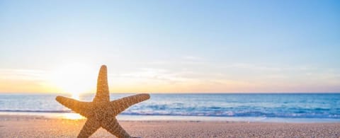 Natural landscape, Sunrise