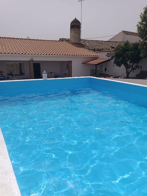 Day, Pool view, Swimming pool