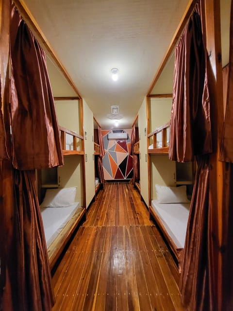 Bed, Photo of the whole room, bunk bed