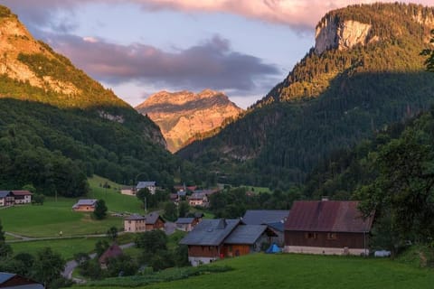 Property view