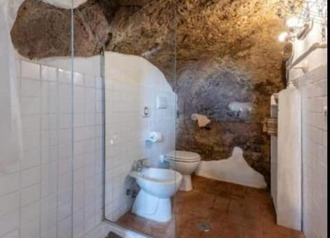 Il nido sulla terrazza Apartment in Pitigliano