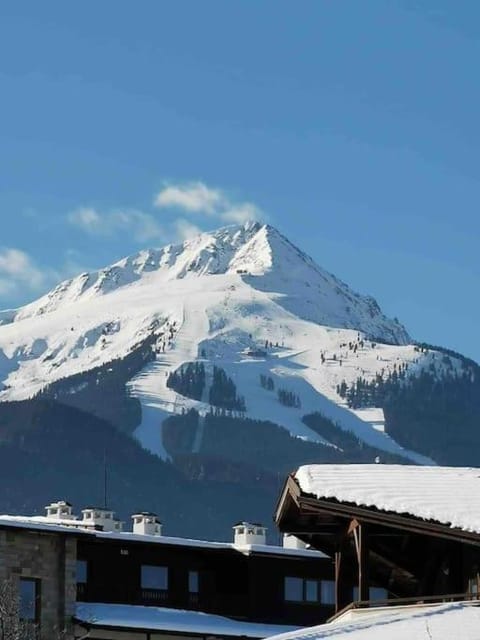 Lovely private apartment in Belelvedre Apartment in Bansko