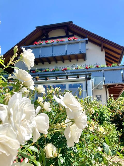 Property building, Garden, Garden view