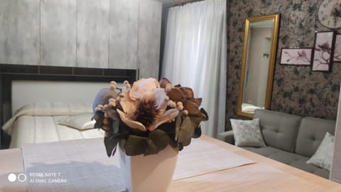 Appartamento Le Rondini nel centro di Intra Apartment in Intra