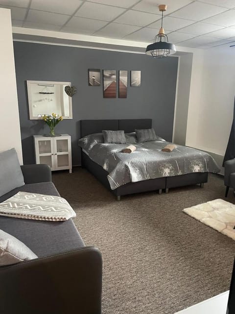 Bed, Living room, Photo of the whole room, Seating area, Bedroom