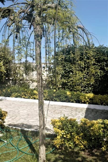 VILLA A CAMPOMARINO Apartment in Campomarino