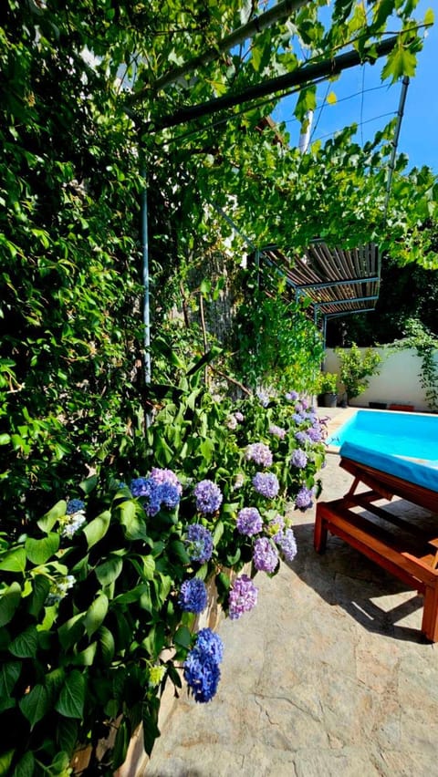 Lovely house with swimming pool Apartment in Mostar