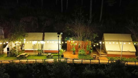 Property building, Night, Garden, Garden view
