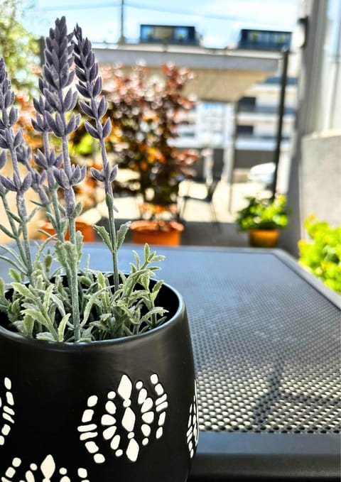 The Martinez Holiday House - Zadar Apartment in Zadar