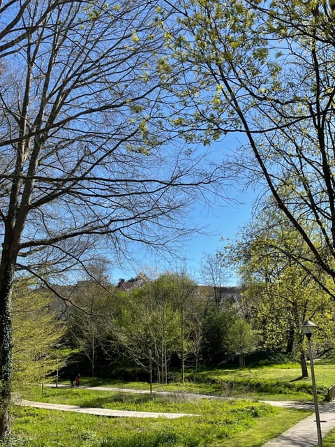 Garden view
