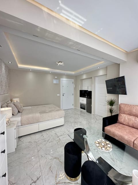 TV and multimedia, Kitchen or kitchenette, Living room, Photo of the whole room, Seating area, Bedroom