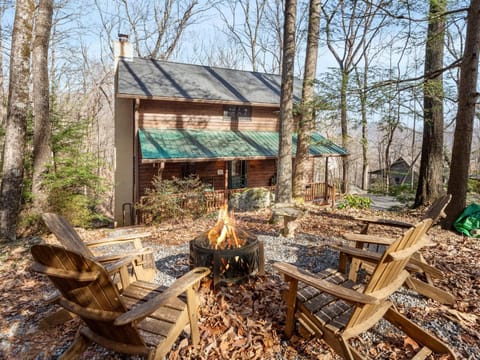 Carolina Cardinal House House in Lake Lure