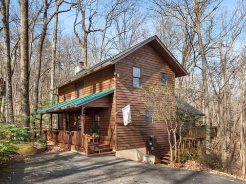 Carolina Cardinal House House in Lake Lure