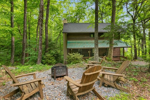Carolina Cardinal House House in Lake Lure