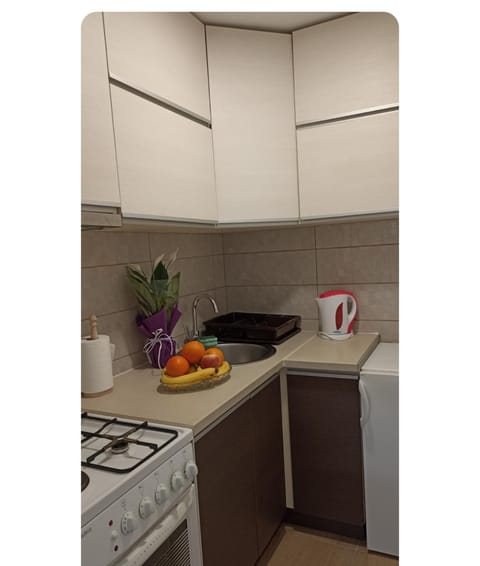 Apartman Mihajlović Apartment in Vojvodina