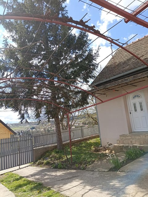 Apartman Mihajlović Apartment in Vojvodina