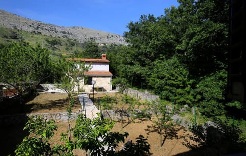 Natural landscape, Garden view, Mountain view