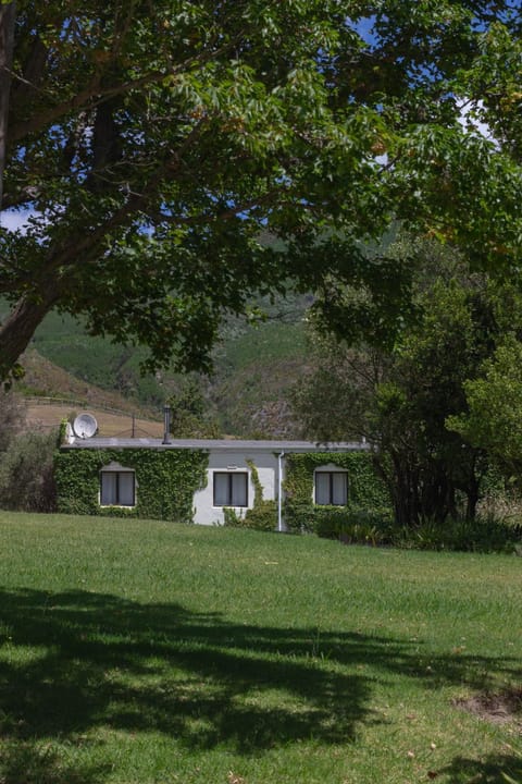 Property building, Natural landscape, Garden view