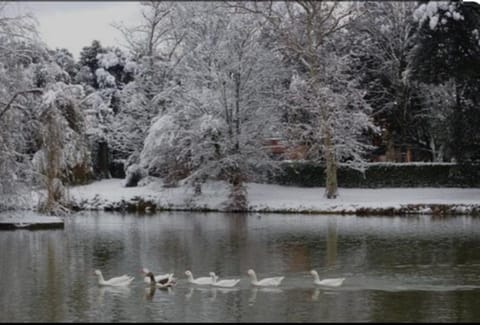 Anna Apartment Apartment in Pistoia